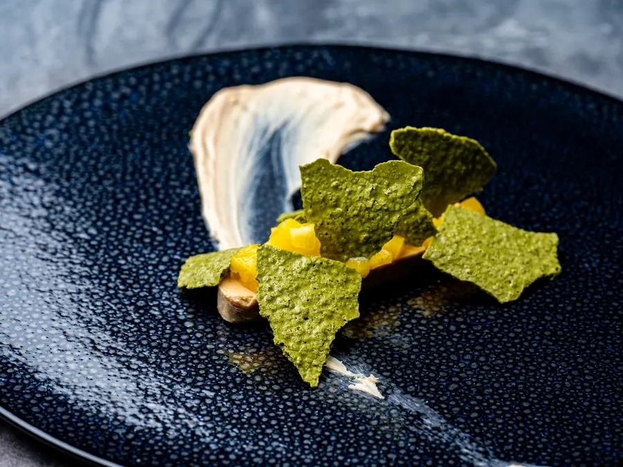 A dish at ars